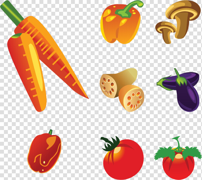 Fruit Vegetable Healthy Diet Food   Vegetables Diagram  HD Png DownloadTransparent PNG