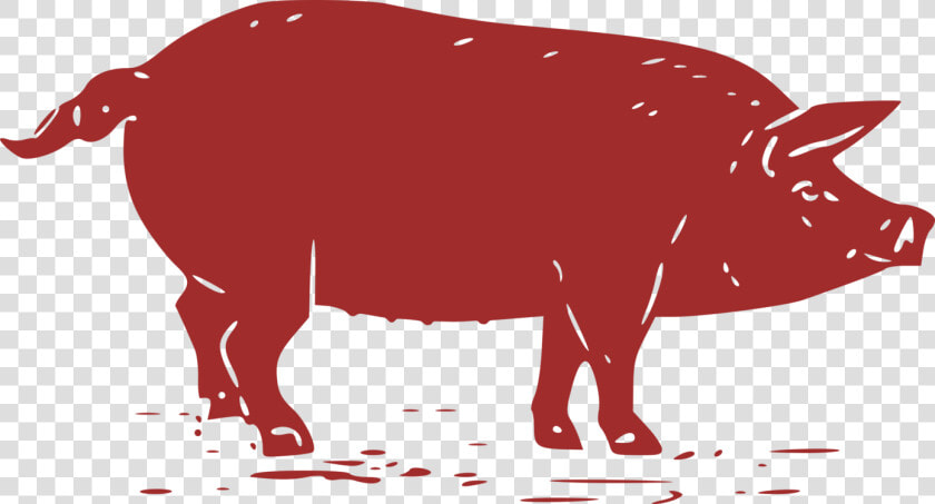 Wildlife livestock ox   Pig Graphic  HD Png DownloadTransparent PNG