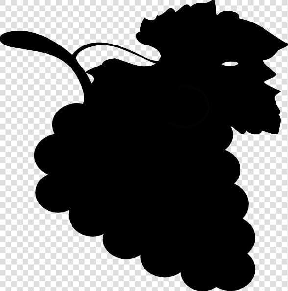 Grape Black Svg Clip Arts   Grapes Fruit Clipart  HD Png DownloadTransparent PNG
