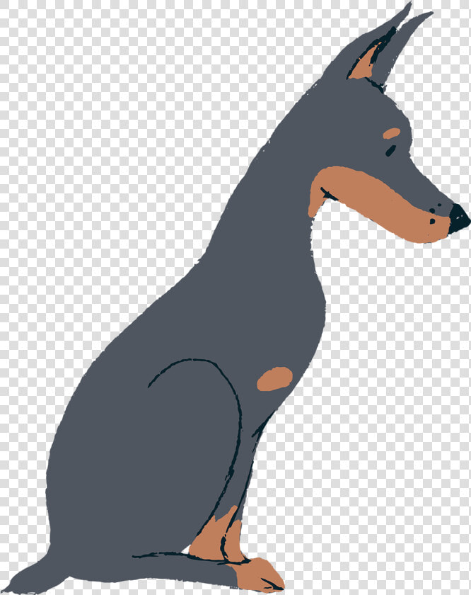 Transparent Doberman Pinscher Png   Dobermann  Png DownloadTransparent PNG