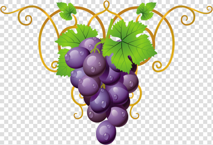 Transparent Clipart Grape Vine Png   Png Download   Promise Tamil Bible Verses  Png DownloadTransparent PNG