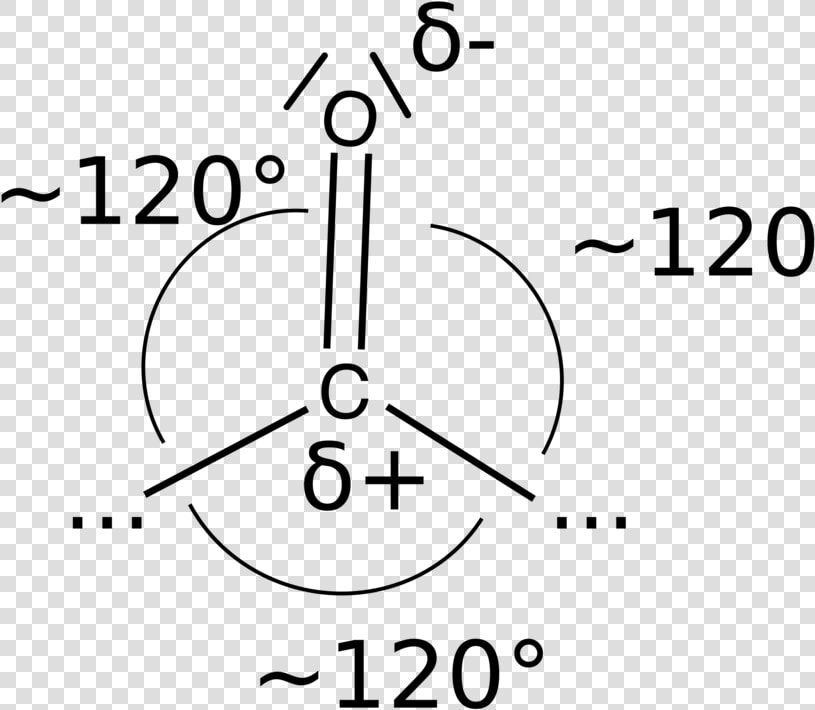 Line Art symmetry text   D20  HD Png DownloadTransparent PNG