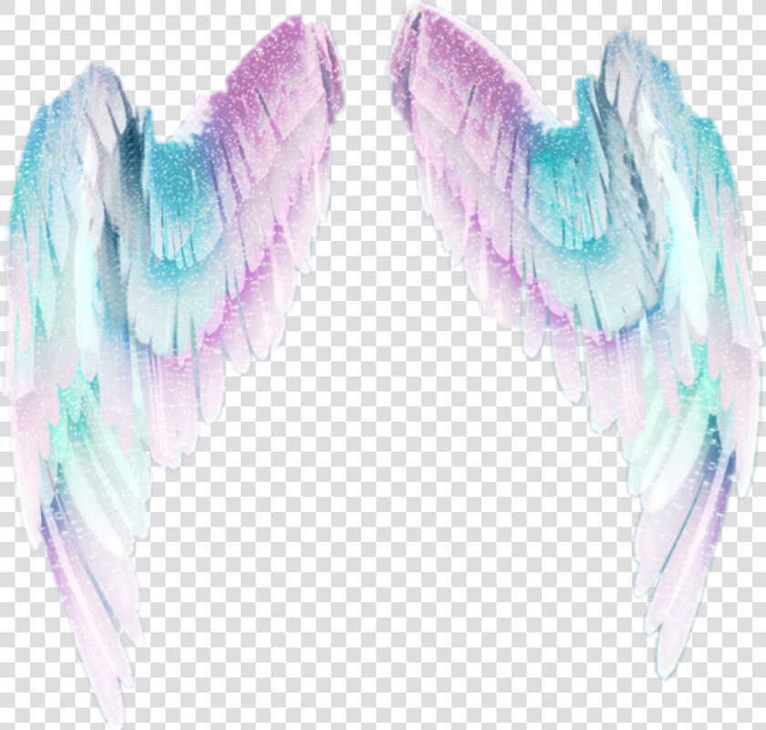   magical Wings  magic  pastel  supernatural   Close up  HD Png DownloadTransparent PNG