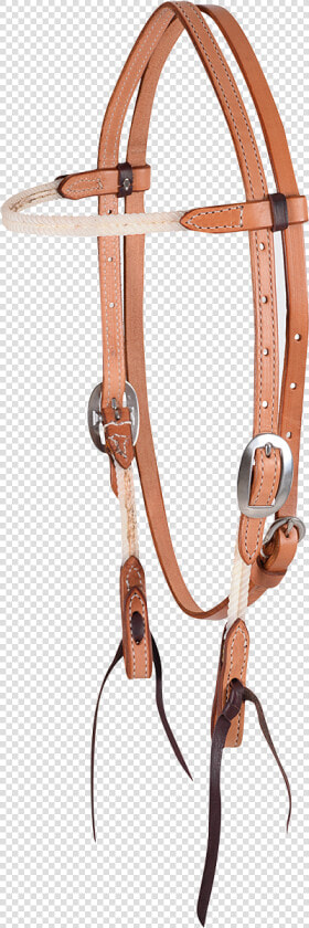 Halter  HD Png DownloadTransparent PNG