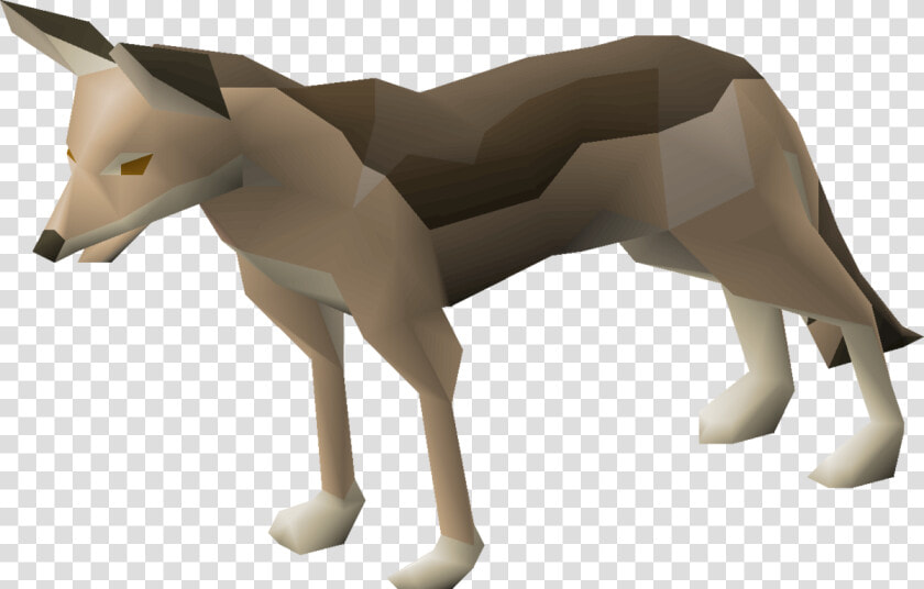 Jackal Png  Transparent PngTransparent PNG