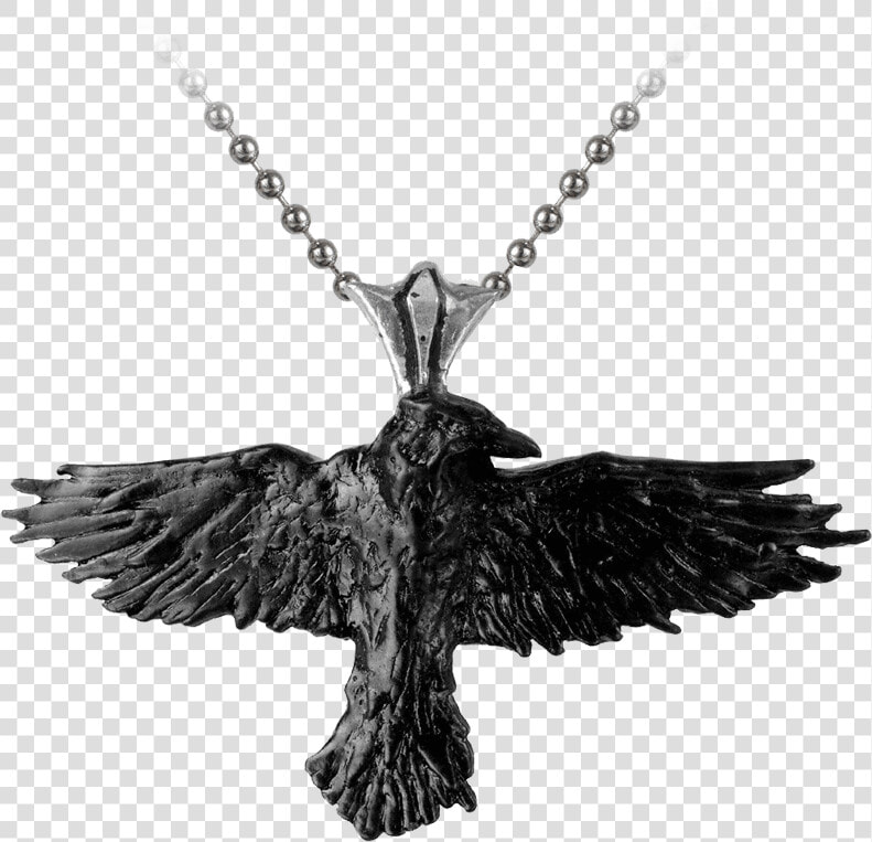 Black Raven Necklace   Corbeau Accessoire Cheveux  HD Png DownloadTransparent PNG
