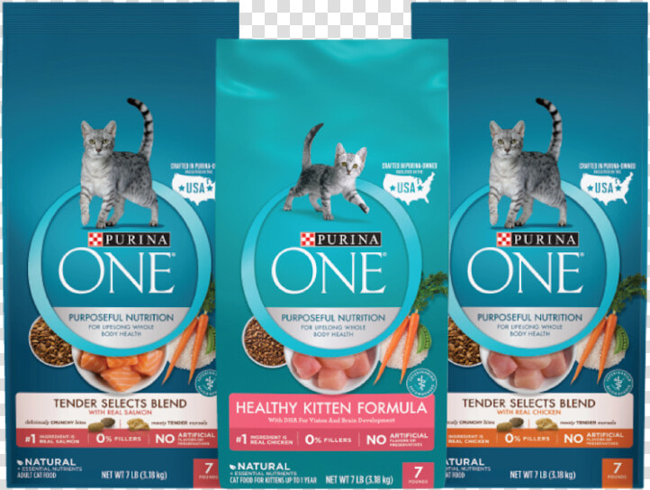 Gatos Png  Transparent PngTransparent PNG