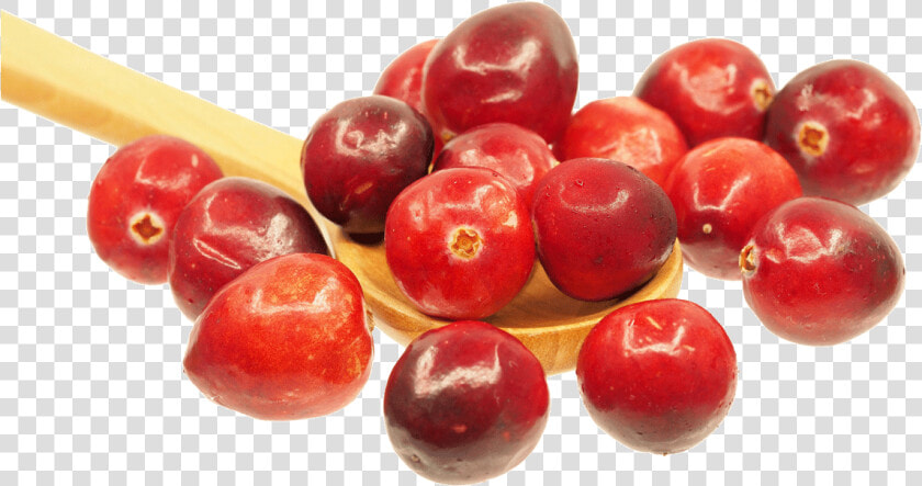 Cranberries In A Spoon   Cranberry Detox Health Benefits  HD Png DownloadTransparent PNG