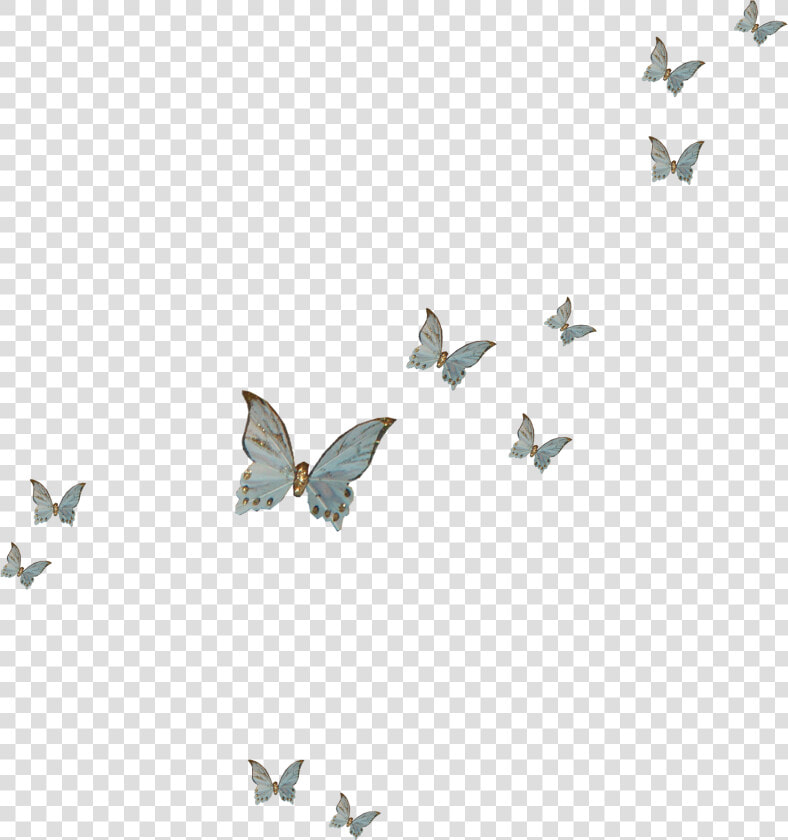 Butterfly Fly Png Download   Clip Art Purple Butterfly  Transparent PngTransparent PNG