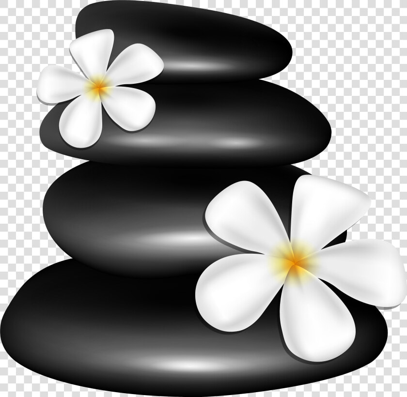 Spa Stones With White Flowers Png Clipart Image   Spa Clipart Png  Transparent PngTransparent PNG