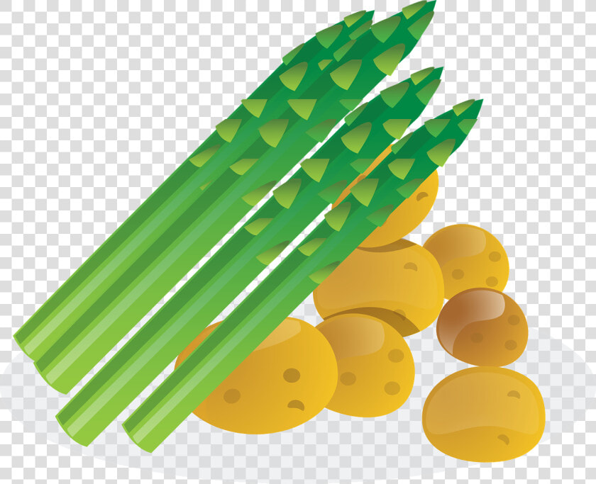 Transparent Png Asparagus Clipart  Png DownloadTransparent PNG