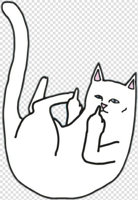 Png  Png Tumblr  And Gato Grosero Image   Ripndip Wallpaper Iphone X  Transparent PngTransparent PNG