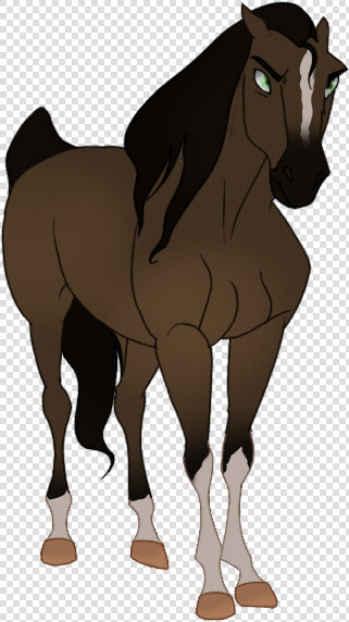 Stallion  HD Png DownloadTransparent PNG