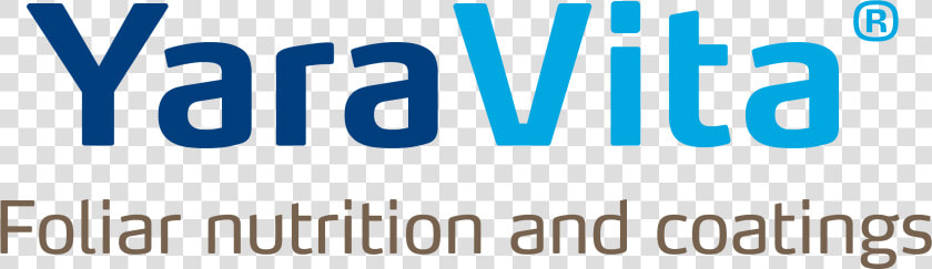 Yara Vita  HD Png DownloadTransparent PNG