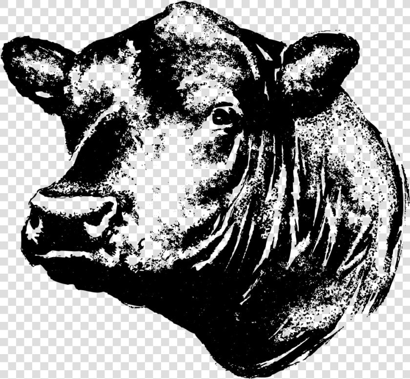 Contact Linz Heritage Angus   Black Angus Cow Head Clipart  HD Png DownloadTransparent PNG