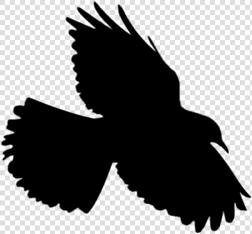 bird  flying  flyingbird  silhouette  HD Png DownloadTransparent PNG