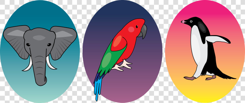 Transparent Honchkrow Png   Parakeet  Png DownloadTransparent PNG