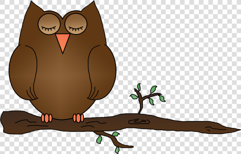 Graphics By Ruth Owls  HD Png DownloadTransparent PNG