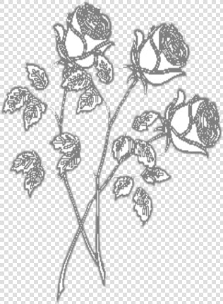  mq  white  black  roses  flower  flowers   Picsart Black And White Flowers  HD Png DownloadTransparent PNG