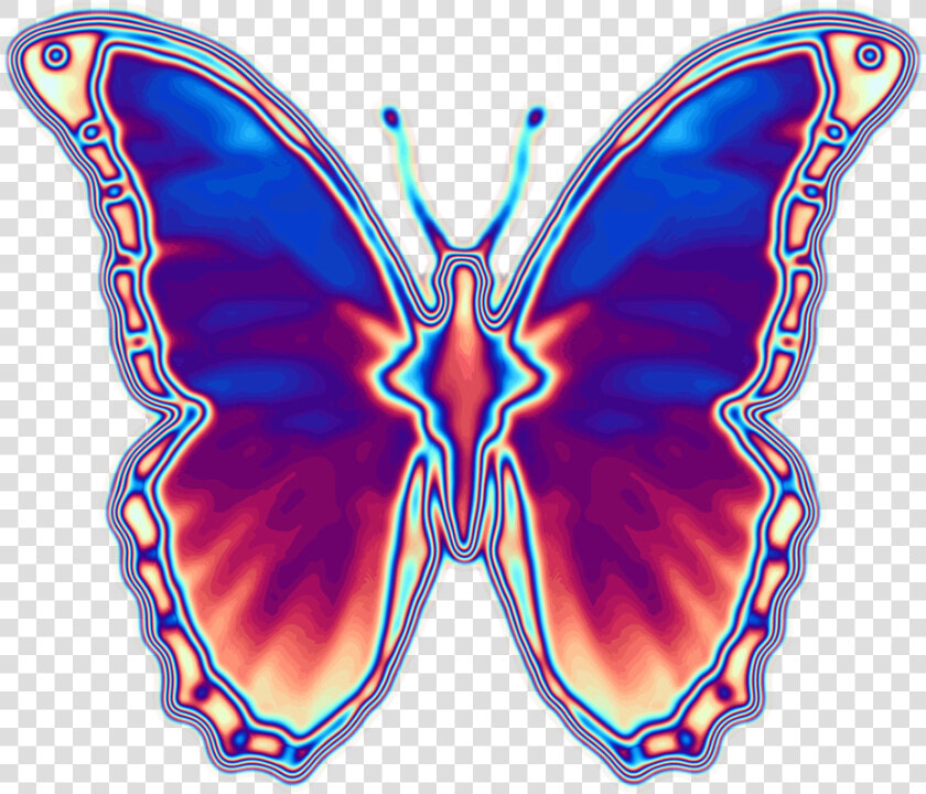  holo  holographic  iridescent  empress Iridescence   Brush footed Butterfly  HD Png DownloadTransparent PNG