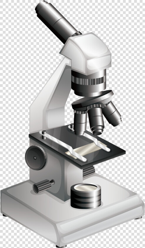 Microscope Bacteria Clip Art   Microscopic Png  Transparent PngTransparent PNG