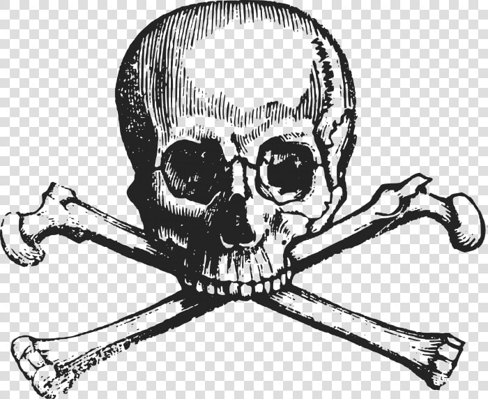 Transparent Cross Bones Clipart   Skull And Cross Bones Clipart  HD Png DownloadTransparent PNG