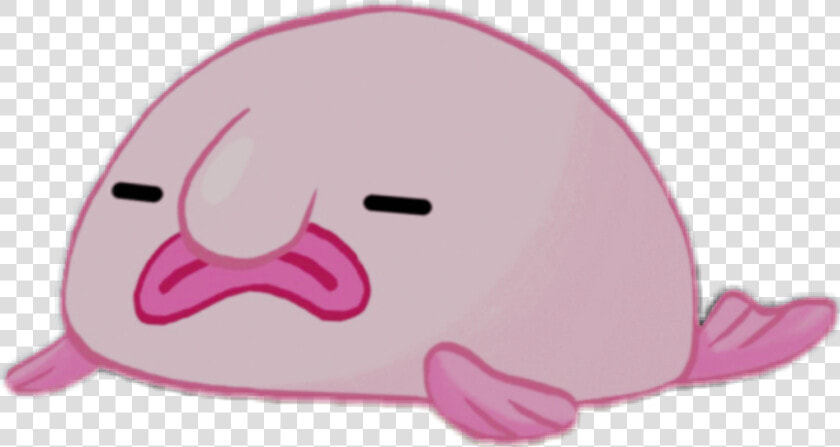  blobfish  blob  blobby  pink  pinkfish  fish  sea   Transparent Blob Fish Png  Png DownloadTransparent PNG