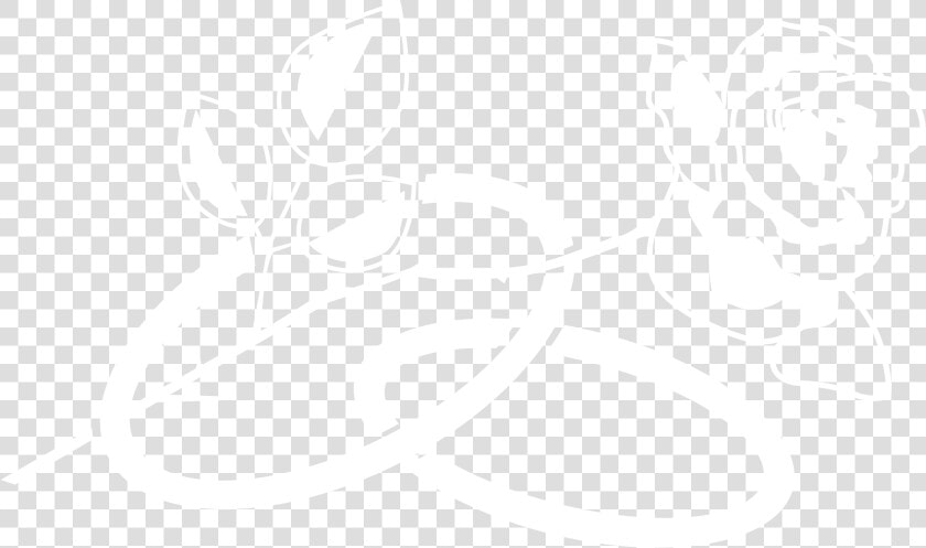 Just Married Logo Black And White   Johns Hopkins Logo White  HD Png DownloadTransparent PNG