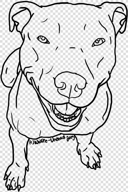 Pitbull Clipart Stencil   Simple Drawings Of Pitbulls  HD Png DownloadTransparent PNG