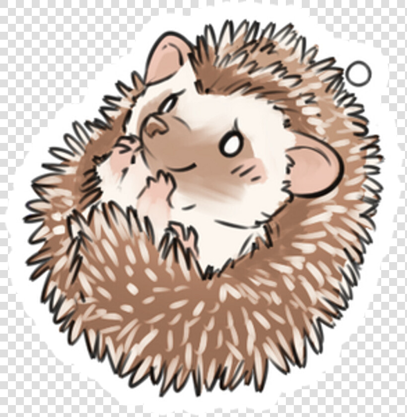 Porcupine Clipart Colorful Animal   Dibujos De Erizos Kawaii  HD Png DownloadTransparent PNG