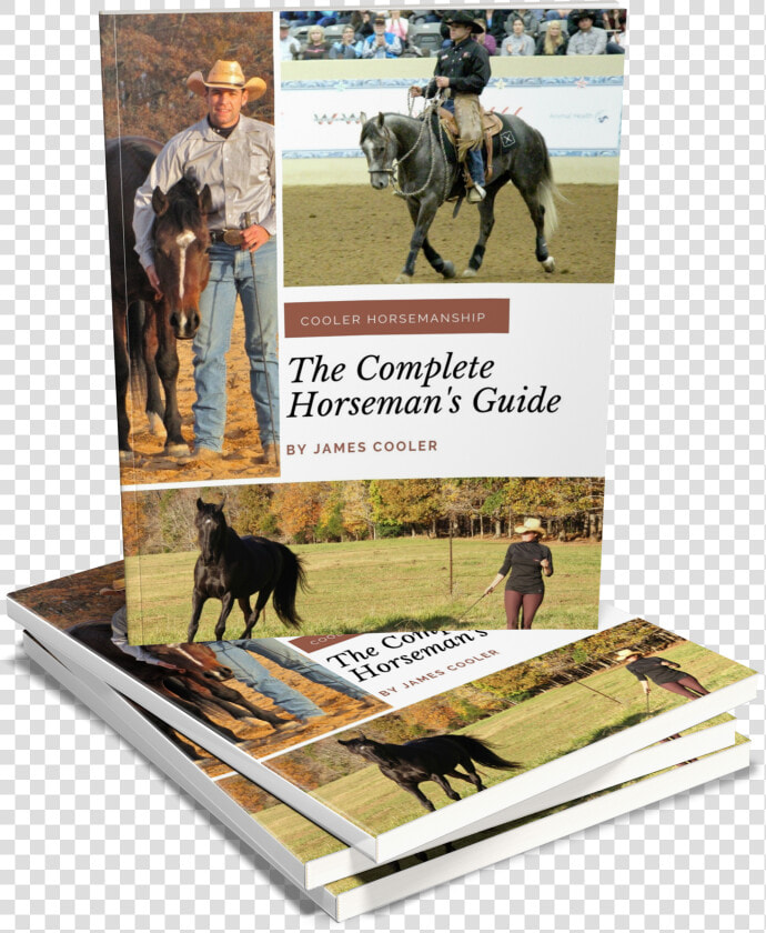 Stallion  HD Png DownloadTransparent PNG