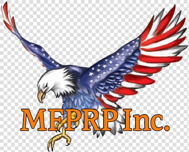American Flag Eagle Tattoo Clipart   Png Download   Eagle American Flag Png  Transparent PngTransparent PNG