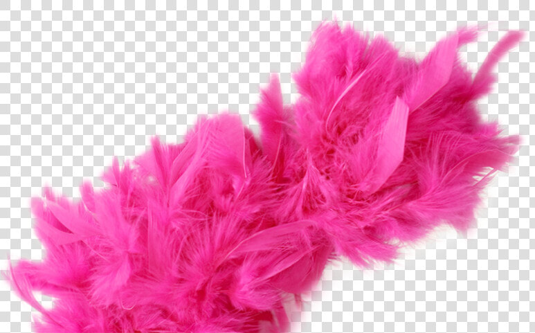 Transparent Feather Boa Png   Pink Feather Boa Png  Png DownloadTransparent PNG