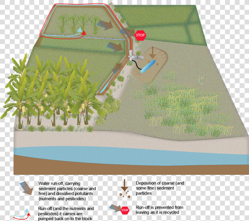 Artificial Turf  HD Png DownloadTransparent PNG