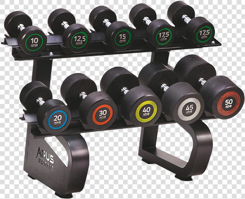Gym Dumbbells Png  Transparent PngTransparent PNG