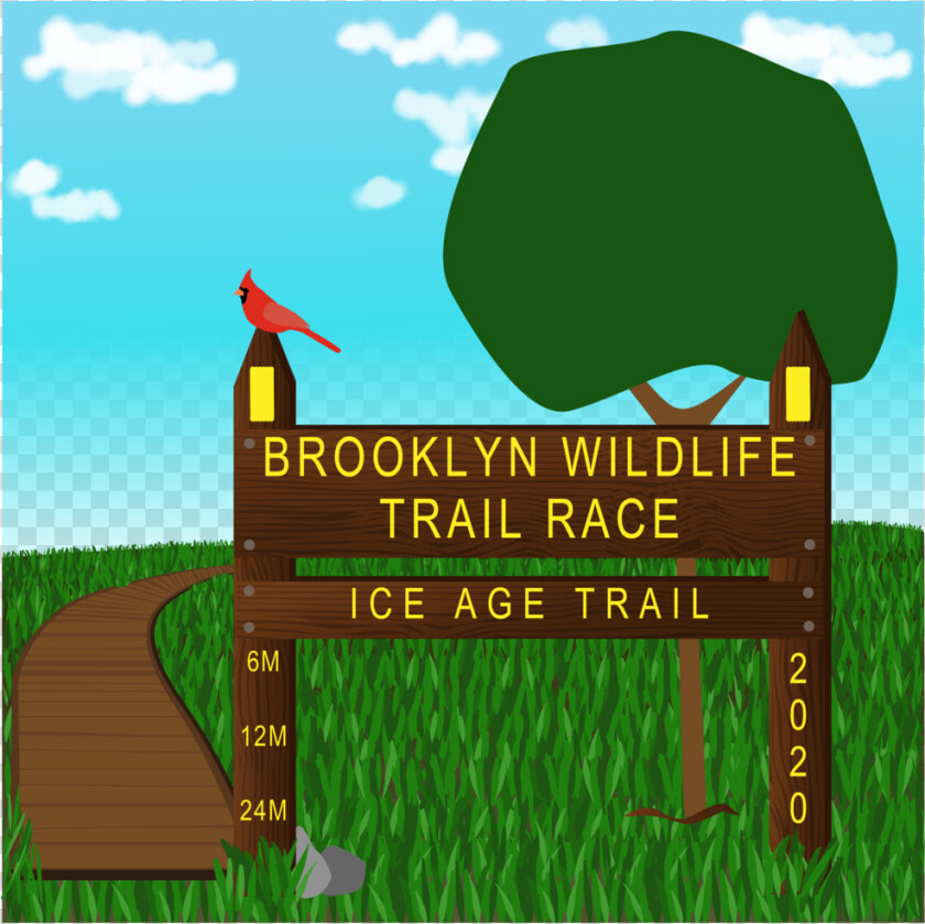 Brooklyn Wildlife Trail Race 2020   Illustration  HD Png DownloadTransparent PNG
