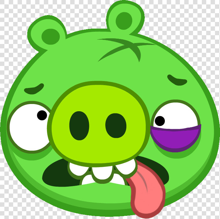 Image Hurt Png Birds   Pigs Angry Birds Png  Transparent PngTransparent PNG