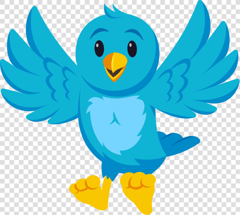 High Quality Wow Blank Meme Template   Budgie  HD Png DownloadTransparent PNG