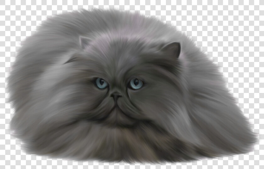 Grey Cat Png Clip Art   Russian Blue Persian Cats  Transparent PngTransparent PNG