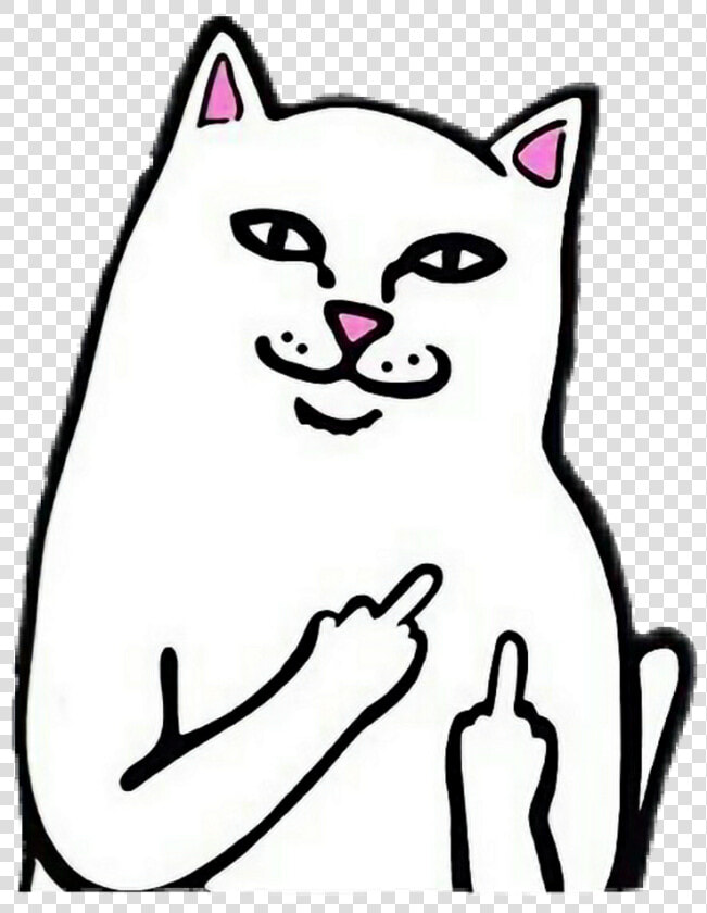 Middlefinger Pfp Icons Edit   Middle Finger Cat Icon  HD Png DownloadTransparent PNG