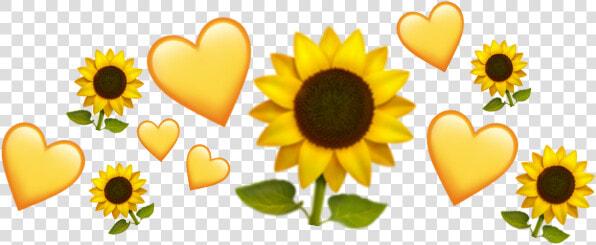  crown heart  эмоджи   Sunflower  HD Png DownloadTransparent PNG