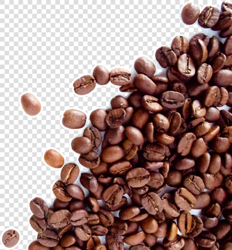 The Coffee Bean  amp  Tea Leaf Espresso Cafe Dolce Gusto   Coffee Beans Transparent Background  HD Png DownloadTransparent PNG