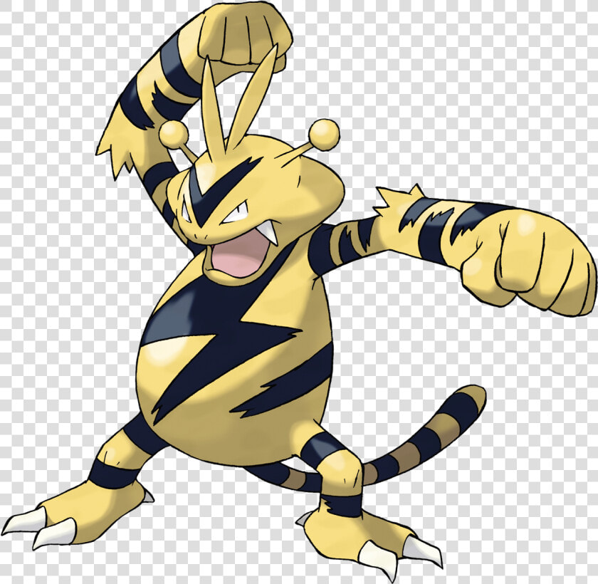 Combusken Png  Transparent PngTransparent PNG