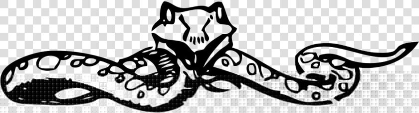 Snake  Front  Tongue  Hissing  Slithering  Slither   Snake Word Search  HD Png DownloadTransparent PNG