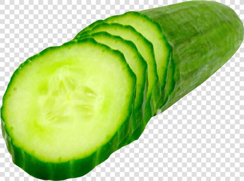 Cucumber Slice Png Image   Cucumber Png  Transparent PngTransparent PNG