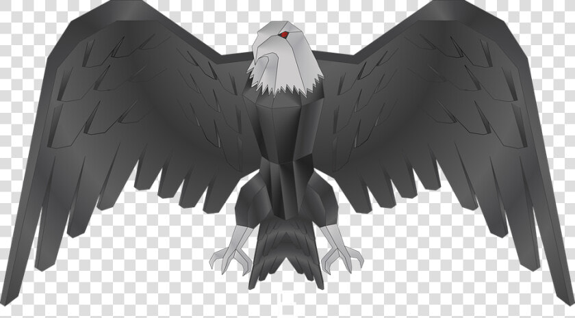 Falco  Falcon  Bird  Animal  Buzzard  Feathers  Beak   Bald Eagle  HD Png DownloadTransparent PNG