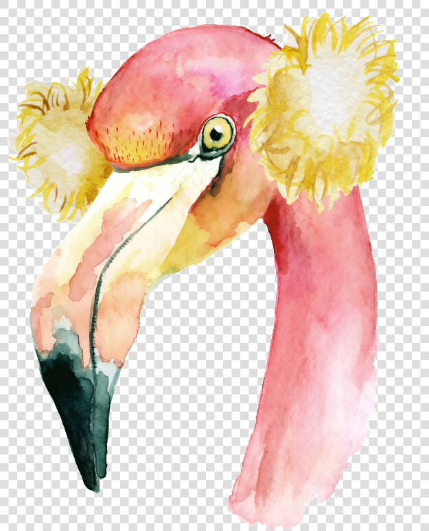 The Hand painted Flamingo Png Transparent Material  Png DownloadTransparent PNG