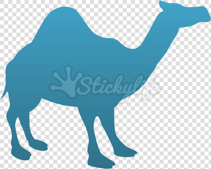 Camel Temporary Tattoo   Arabian Camel  HD Png DownloadTransparent PNG