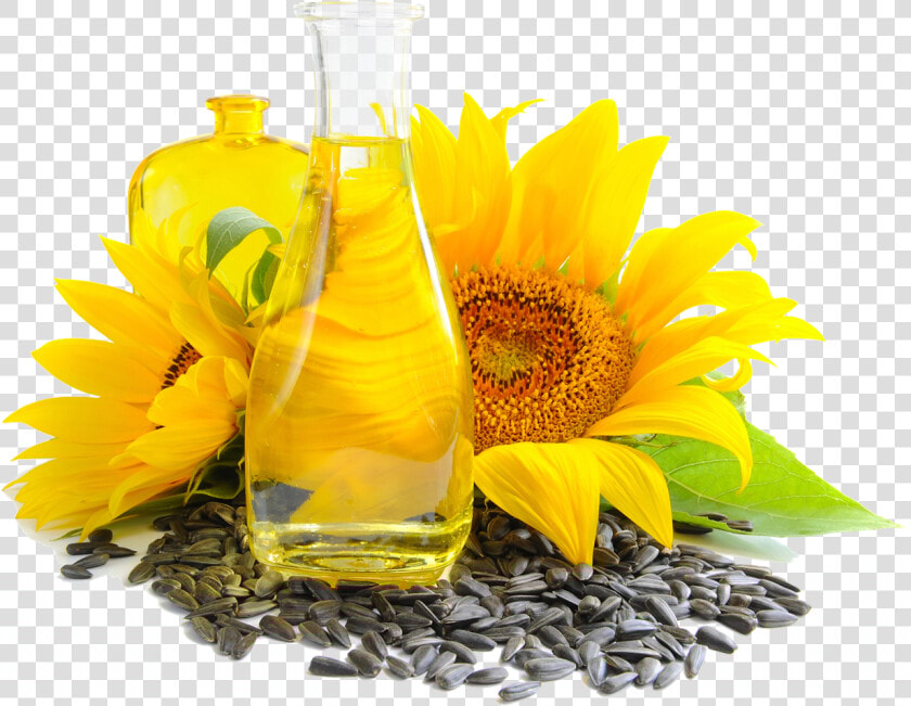 Sunflower Seed Png   Buy Sunflower Seed Products  Transparent PngTransparent PNG