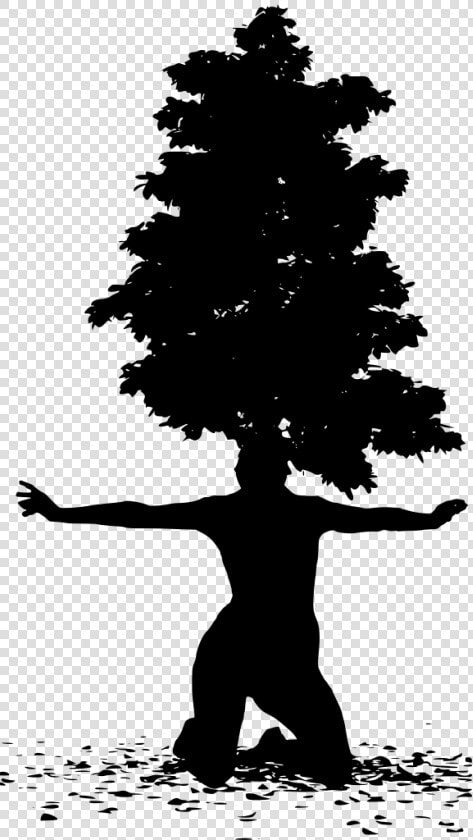 Bark  HD Png DownloadTransparent PNG